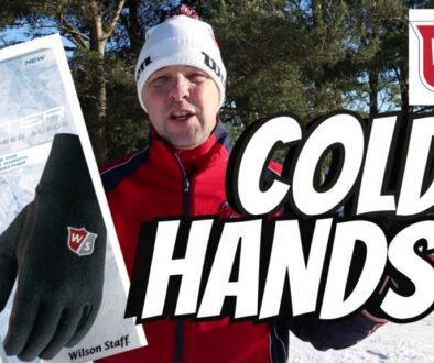 WILSON GLOVES