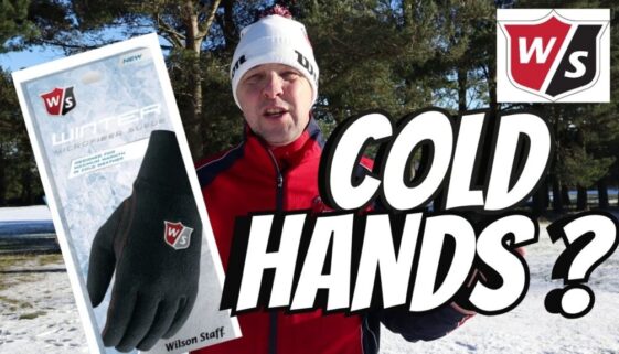 WILSON GLOVES